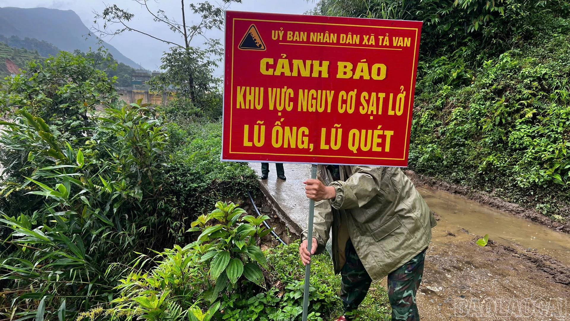 baolaocai-br_777.jpg