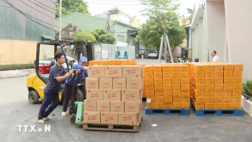 Lực lượng Hậu cần - Kỹ thuật vận chuyển hàng hóa, lương thực, thực phẩm chuẩn bị lên đường sang Venezuela.