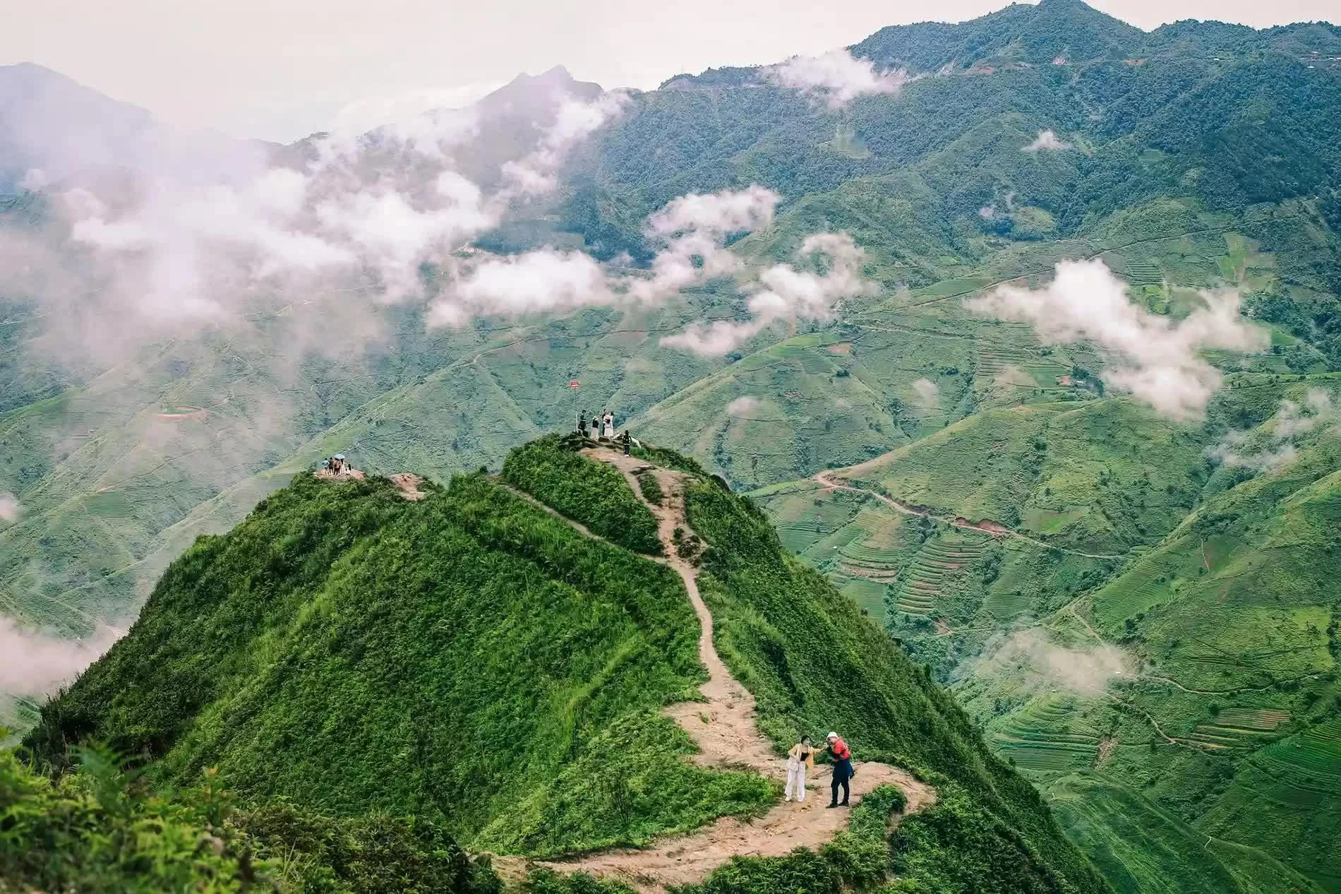 Sống lưng khủng long Tà Xùa. (Ảnh: Lê Huỳnh)