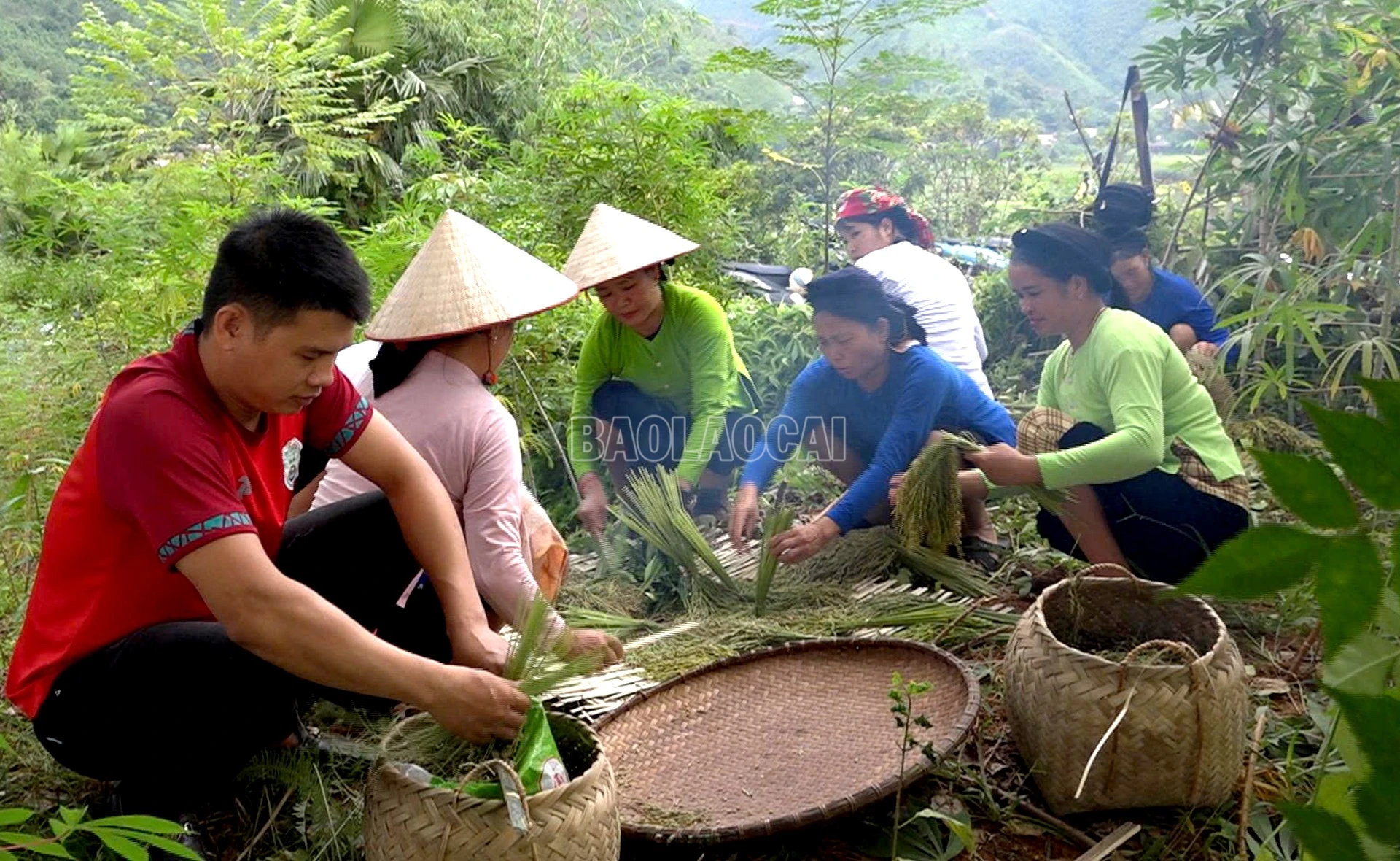 baolaocai-c_cac-congdoan1.jpg