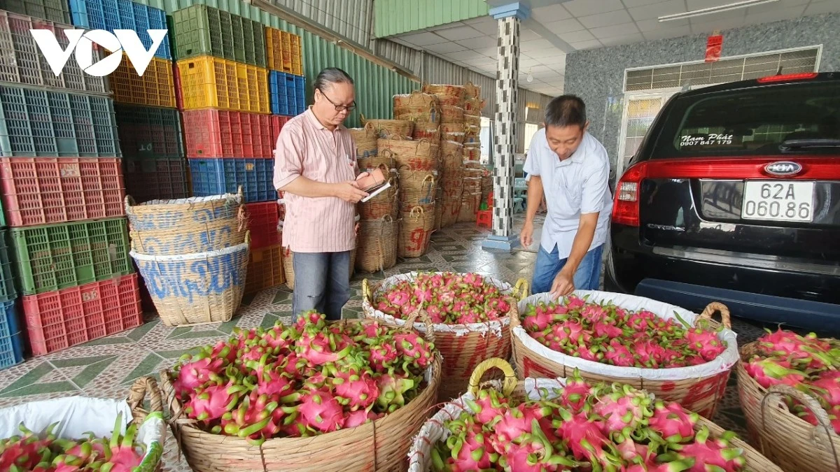 Nông sản xuất khẩu khó giữ được chất lượng khi thời gian vận chuyển kéo dài.