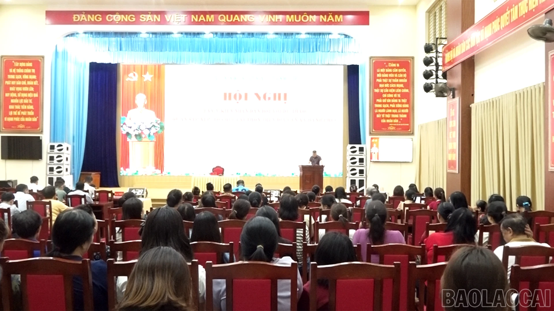 baolaocai-br_screenshot-2026-06-17-100641.png