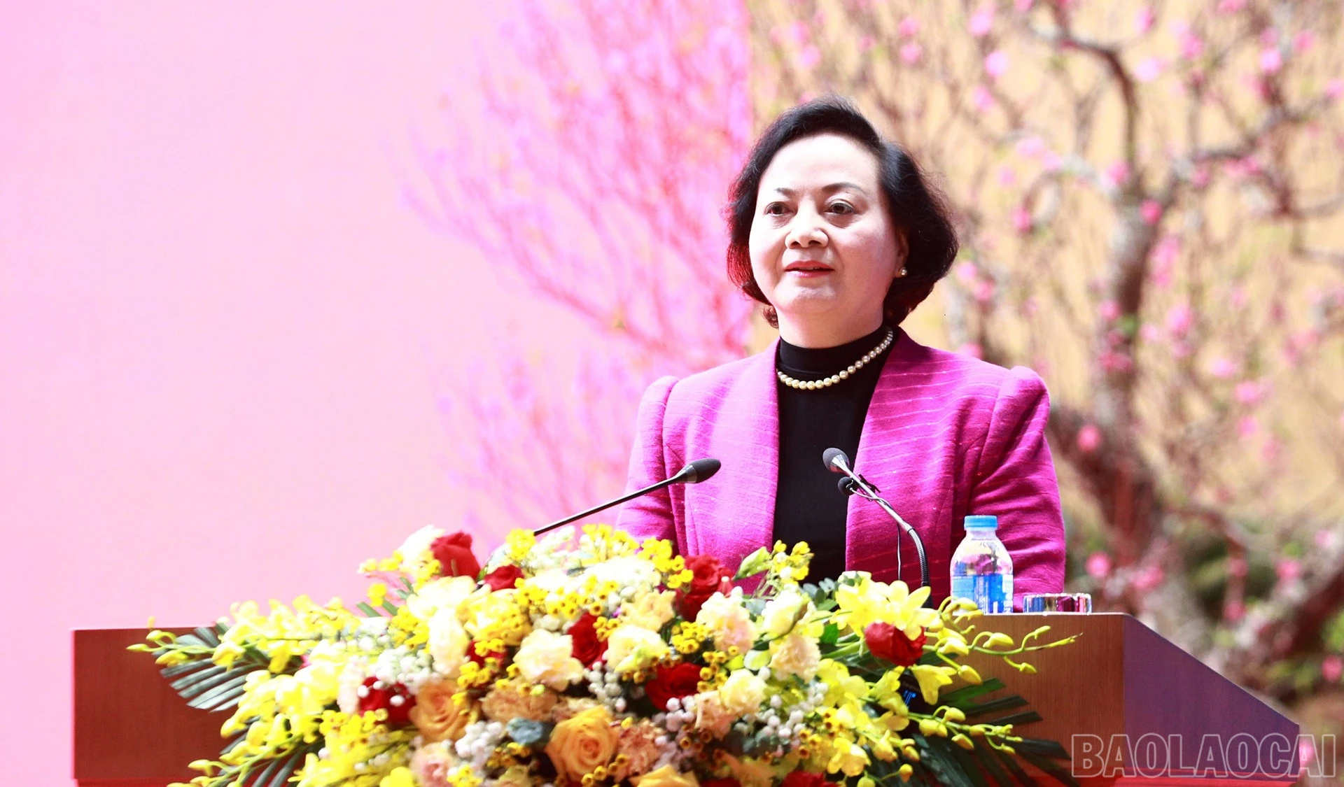 baolaocai-br_anh2.jpg