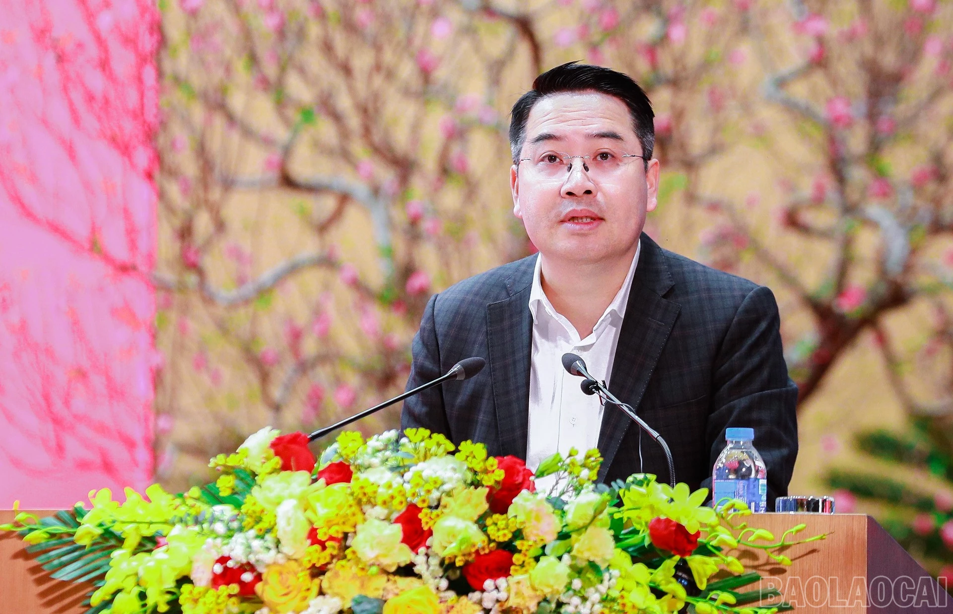 baolaocai-br_anh5.jpg