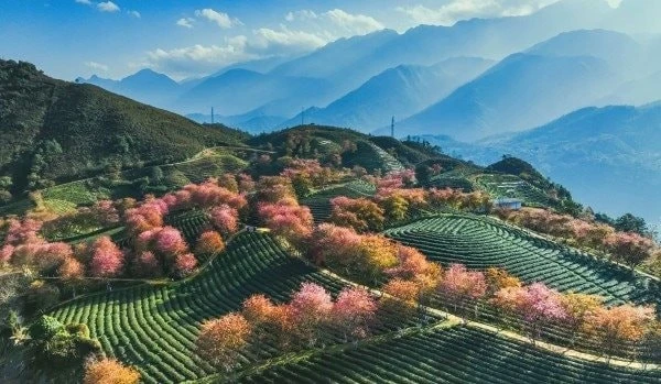 Tác phẩm: Sắc màu biên giới - Tác giả: Vũ Mạnh Cường.