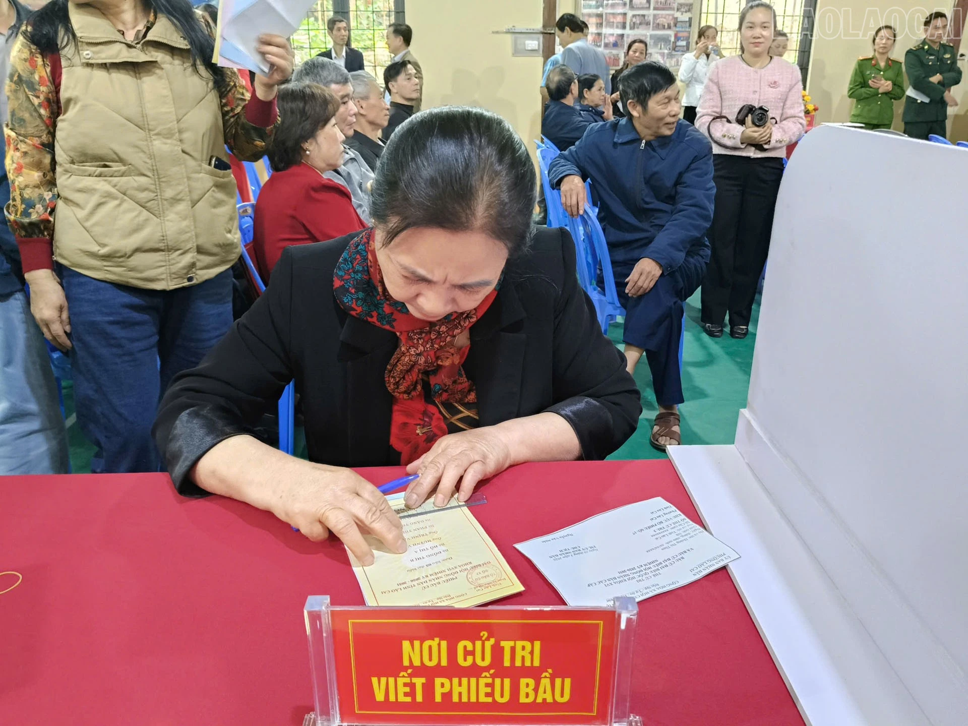 baolaocai-tr_5.jpg