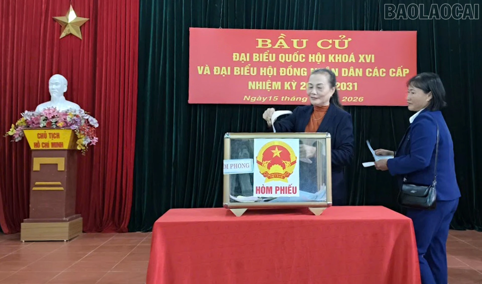baolaocai-tr_7.jpg