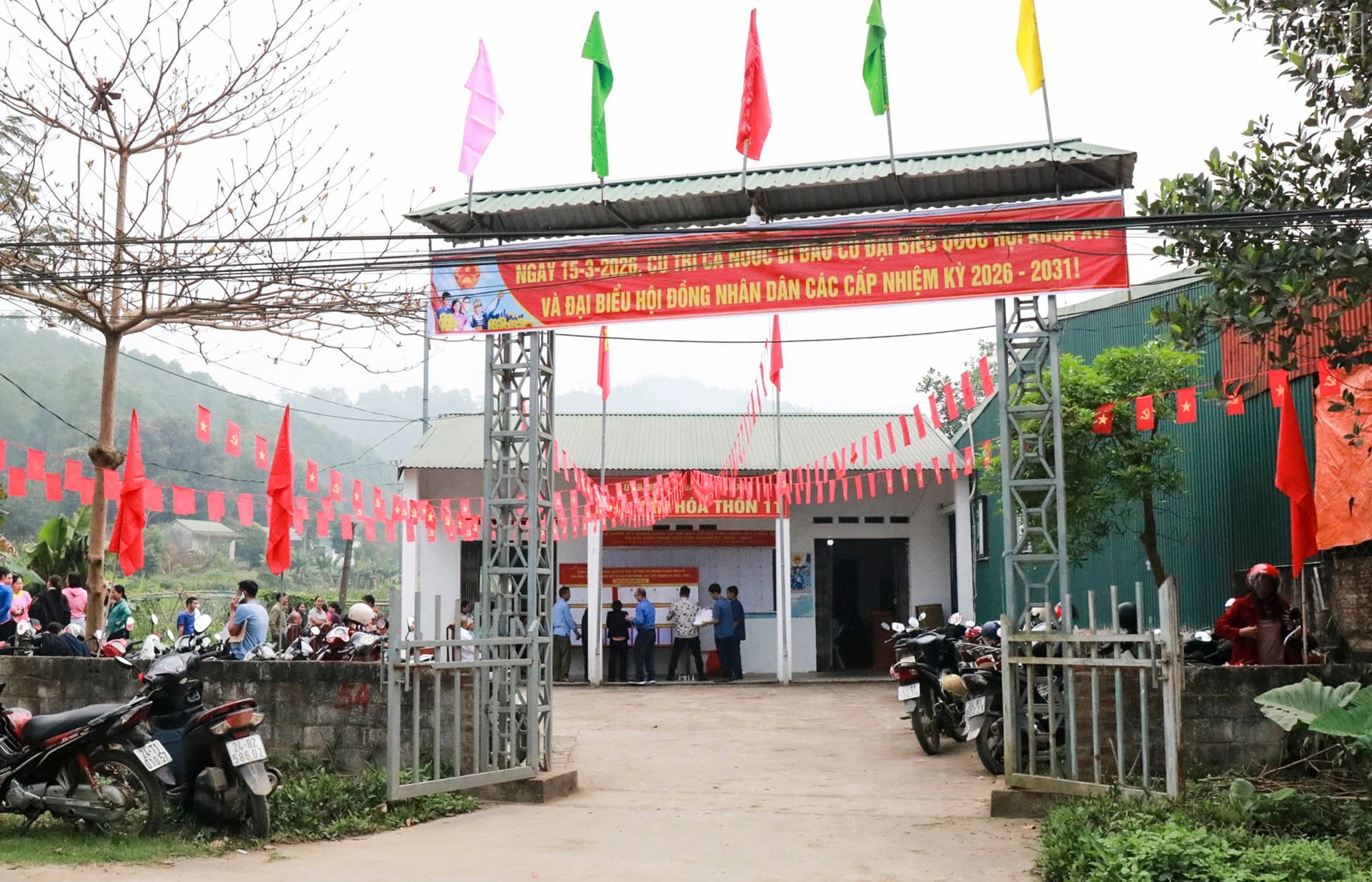 baolaocai-tr_bat-xat5.jpg