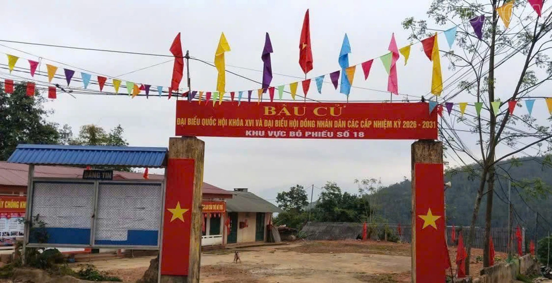 baolaocai-tr_nghialo2.jpg