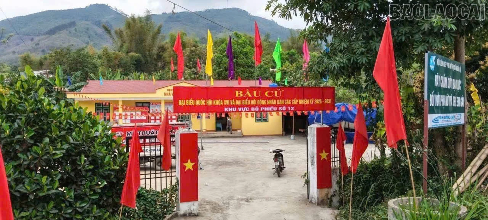 baolaocai-tr_nghialo3.jpg