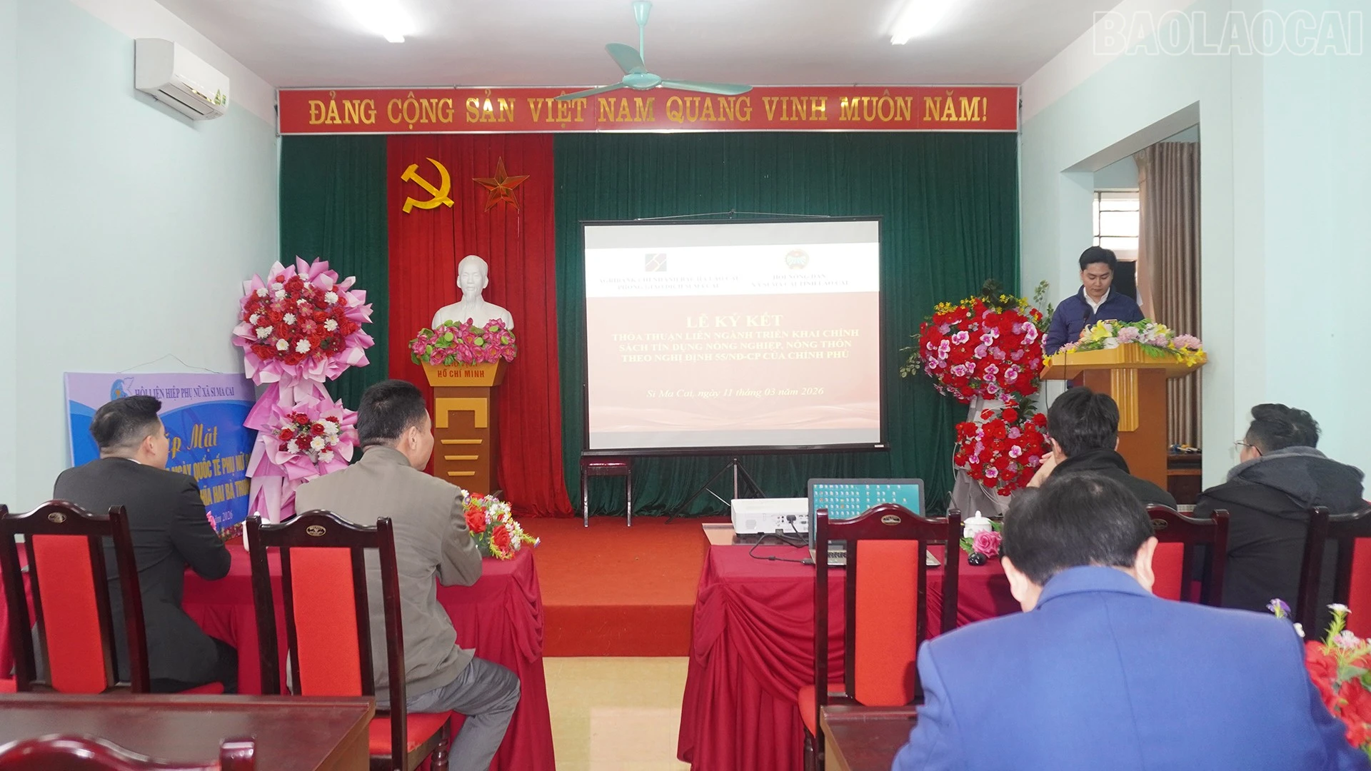baolaocai-tr_11-3-si1.jpg