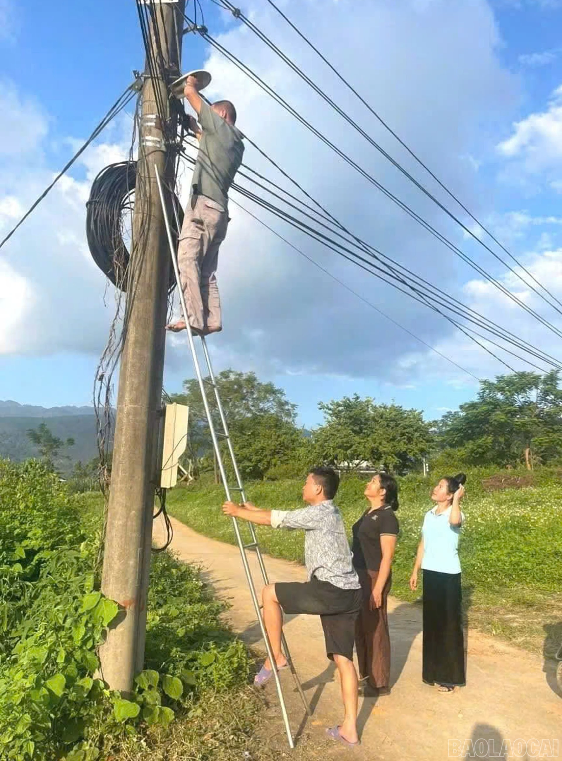 baolaocai-br_9.jpg