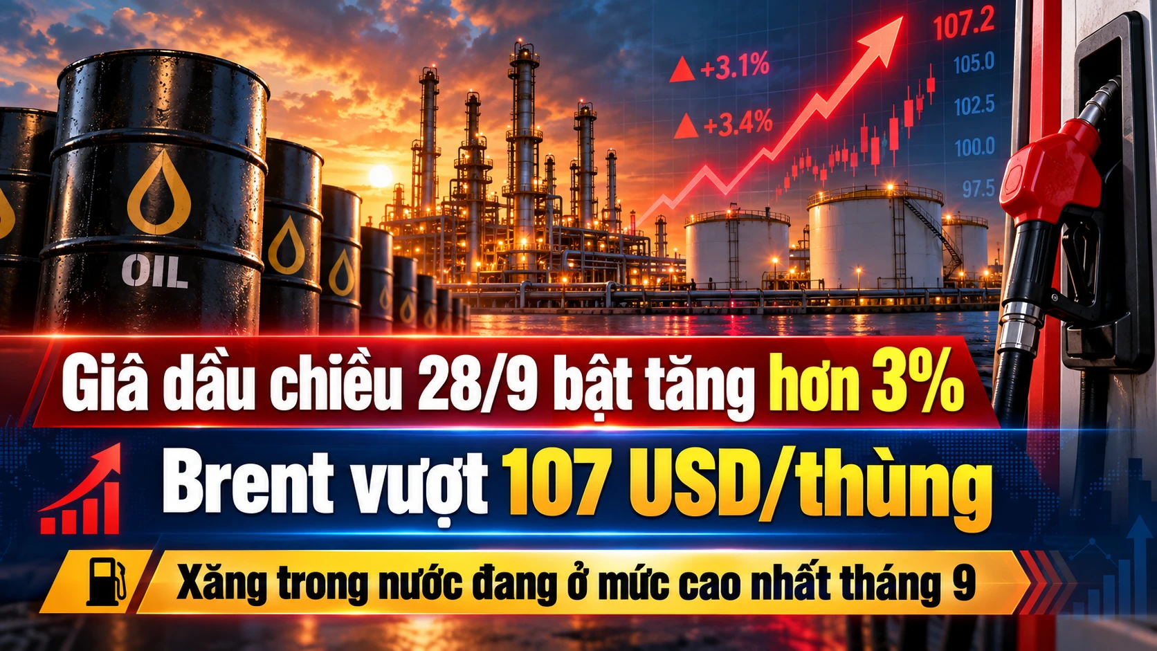 28-9-xang.png
