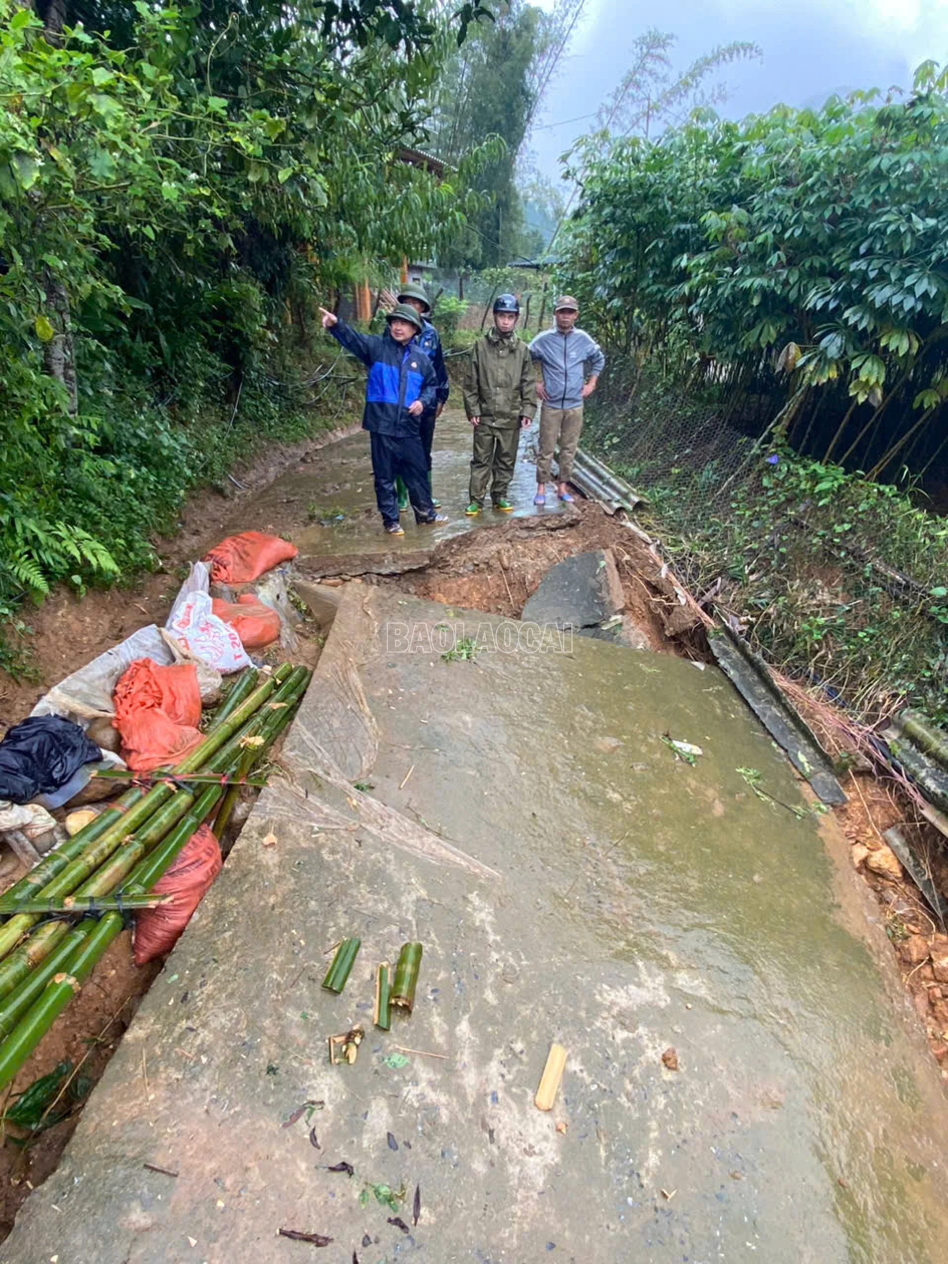 baolaocai-c_hanhphuc1.jpg