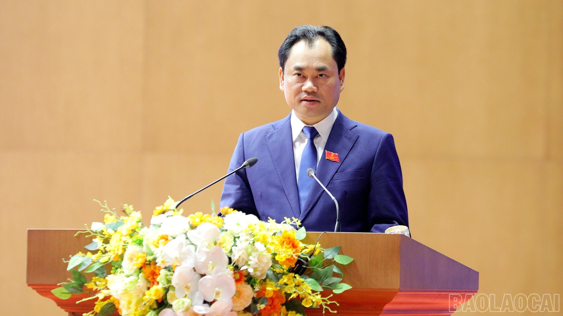 baolaocai-br_9-12-bithu.jpg