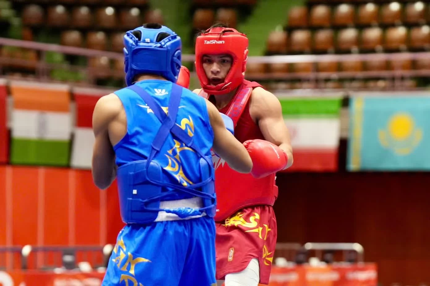 Võ sỹ Đinh Văn Tâm tranh HCV môn wushu.