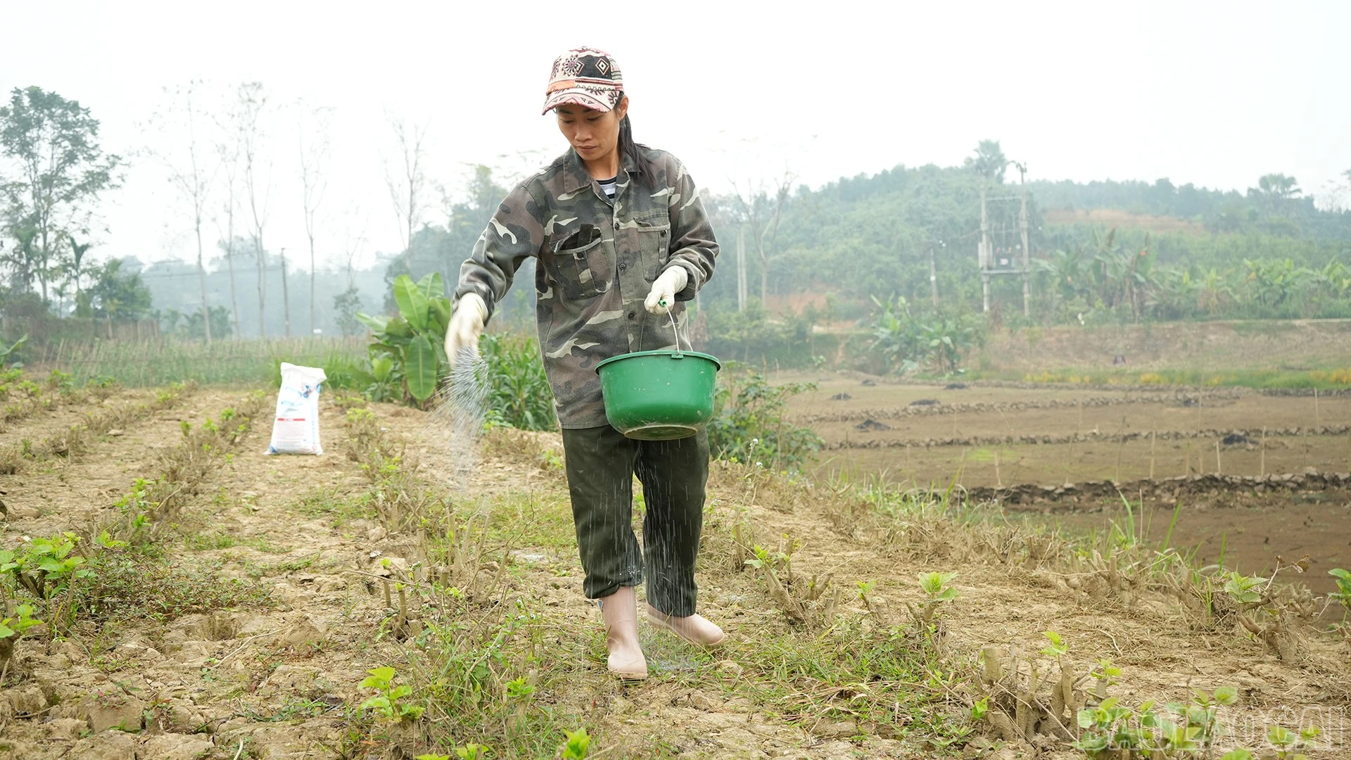 baolaocai-br_11-2-dau.jpg