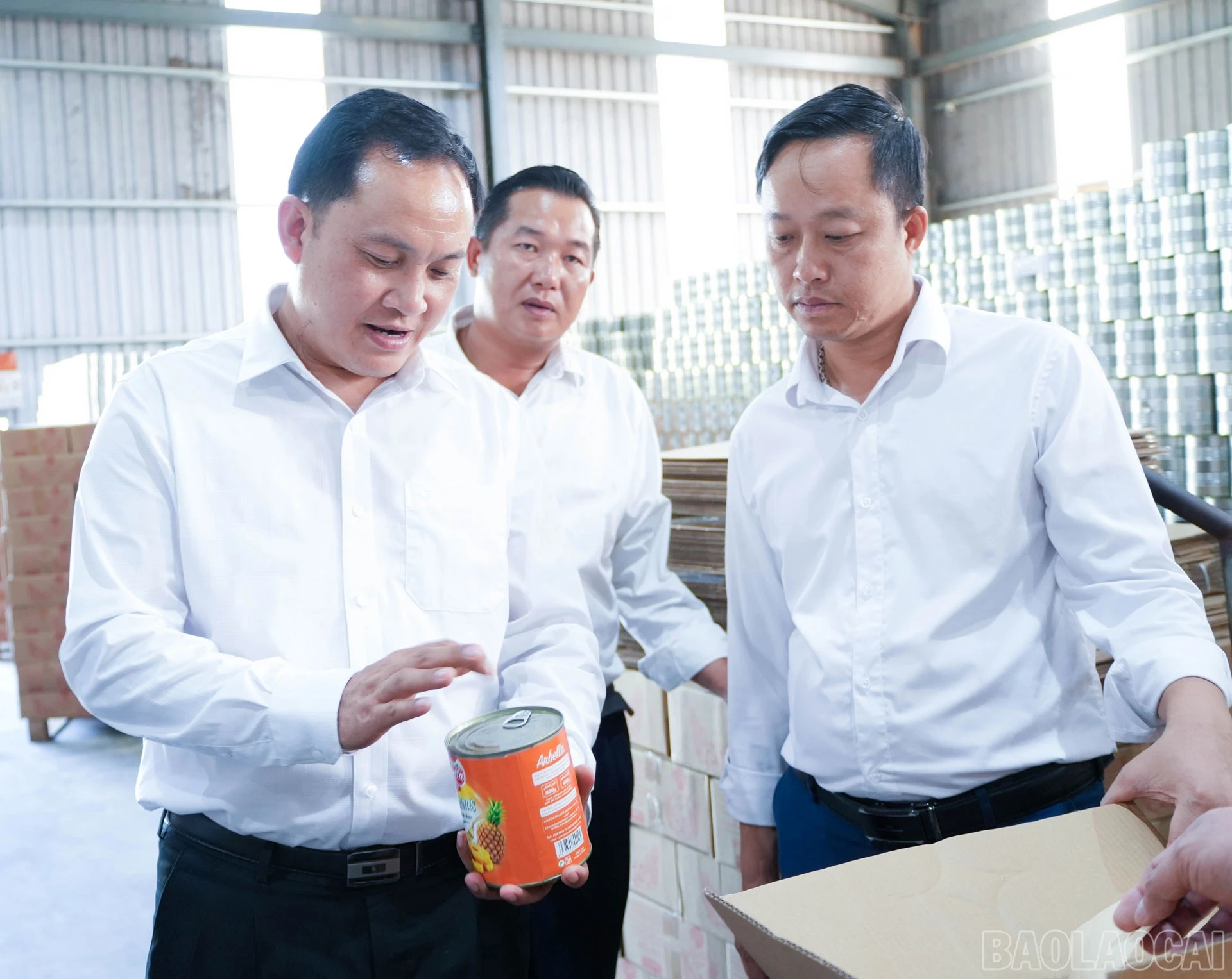 baolaocai-br_8-3837.jpg