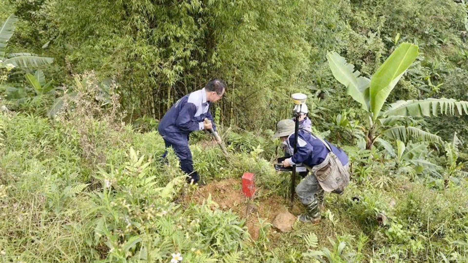 baolaocai-br_anh-6.jpg
