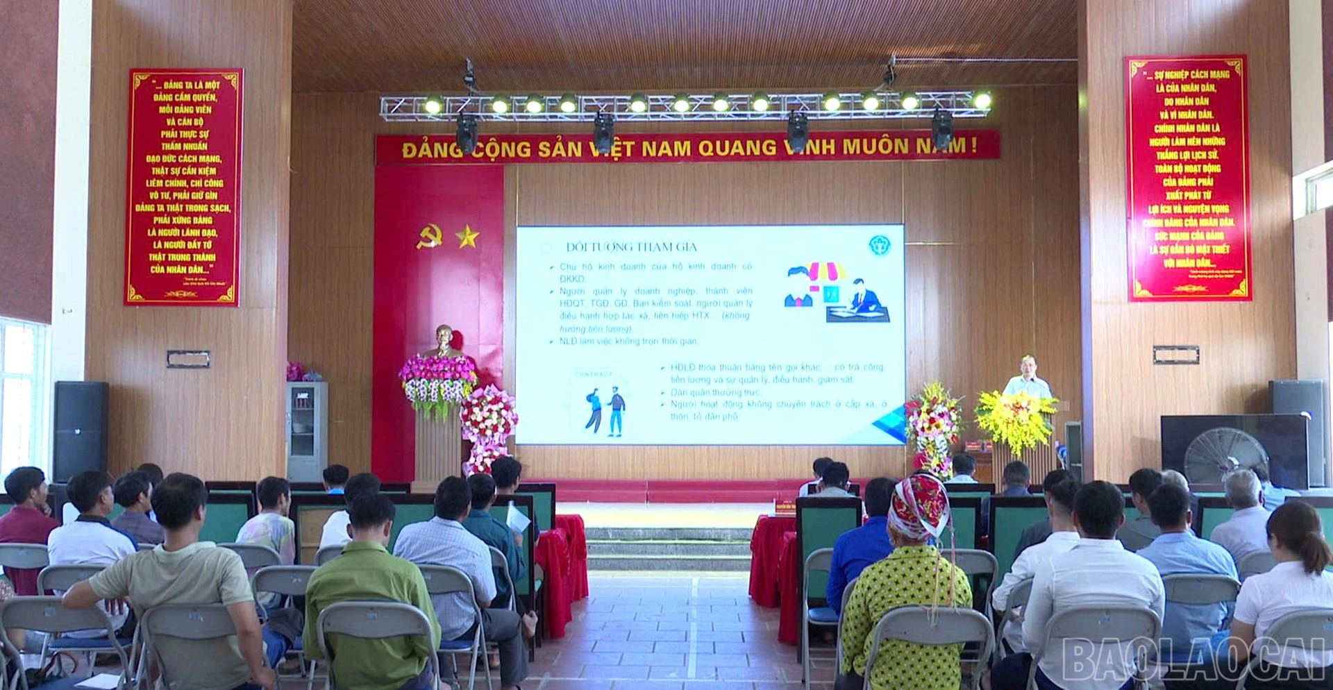 baolaocai-br_1.jpg