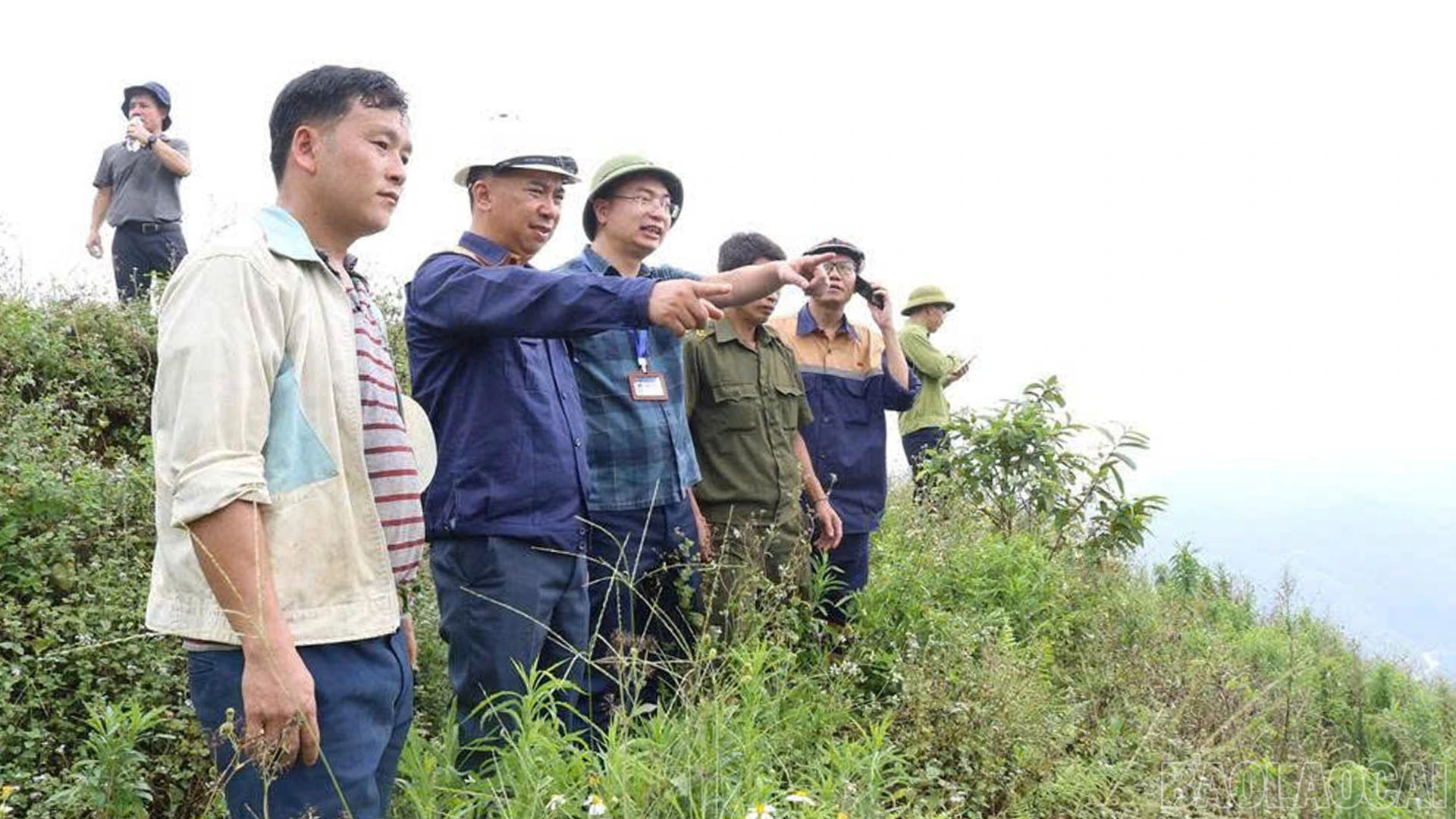 baolaocai-br_anh-8.jpg