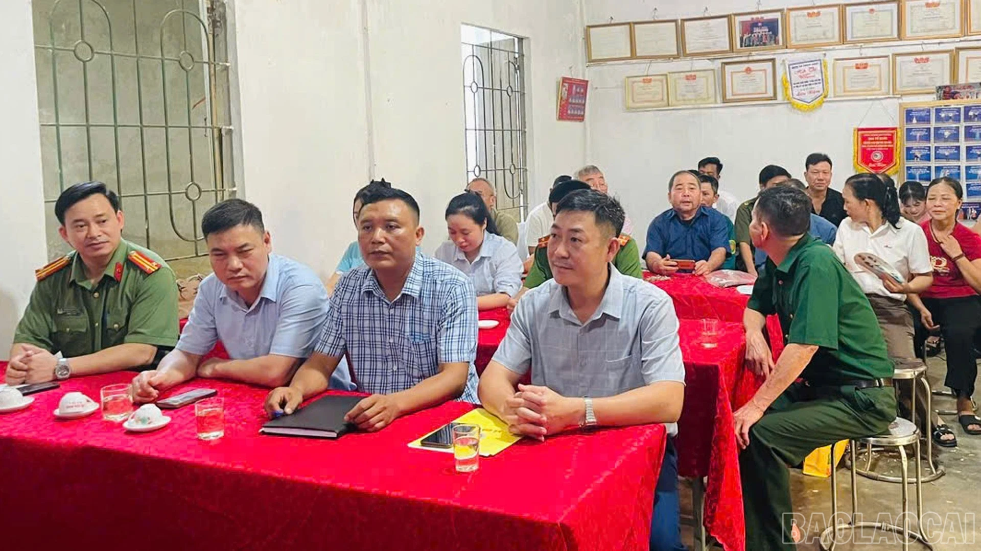 baolaocai-br_1779964335279-1575917349928.jpg