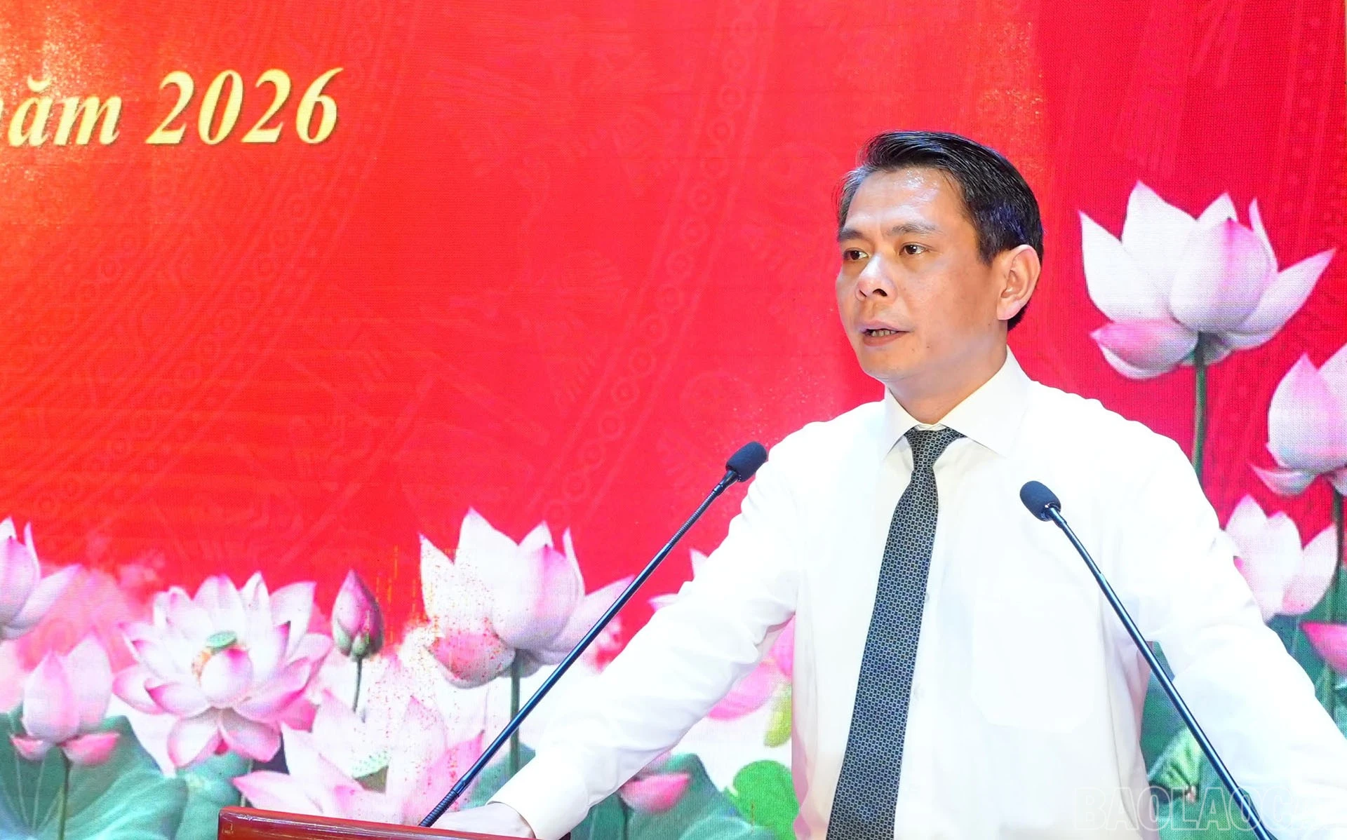 baolaocai-br_27-5-phechuan7.jpg