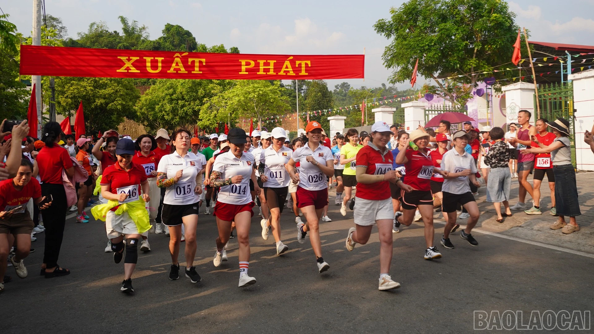 baolaocai-br_11-4-soi-noi.jpg