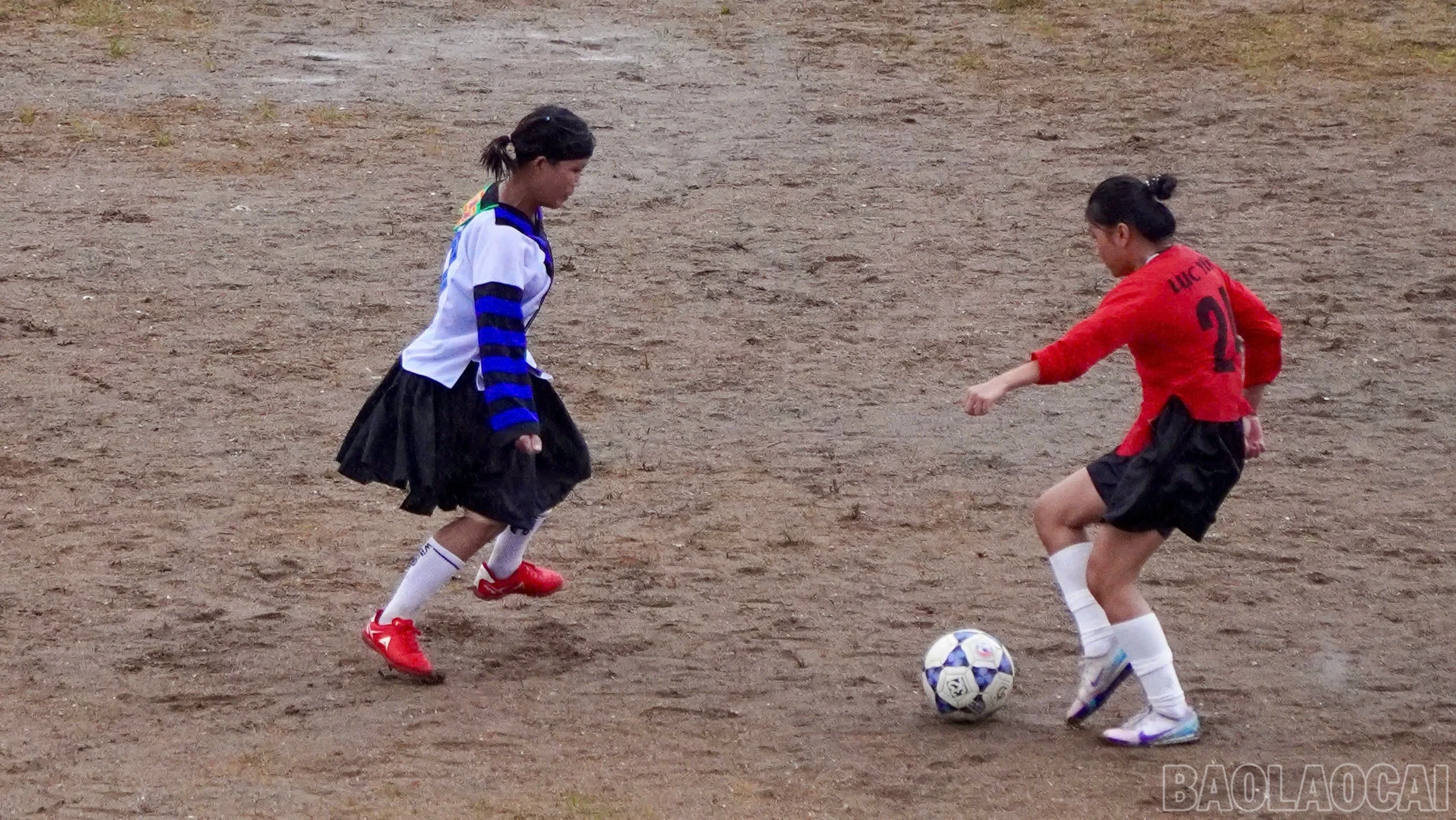 baolaocai-br_6-4614.jpg