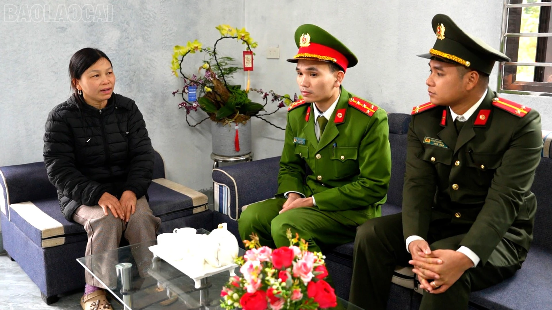 baolaocai-tl_anh-1.png