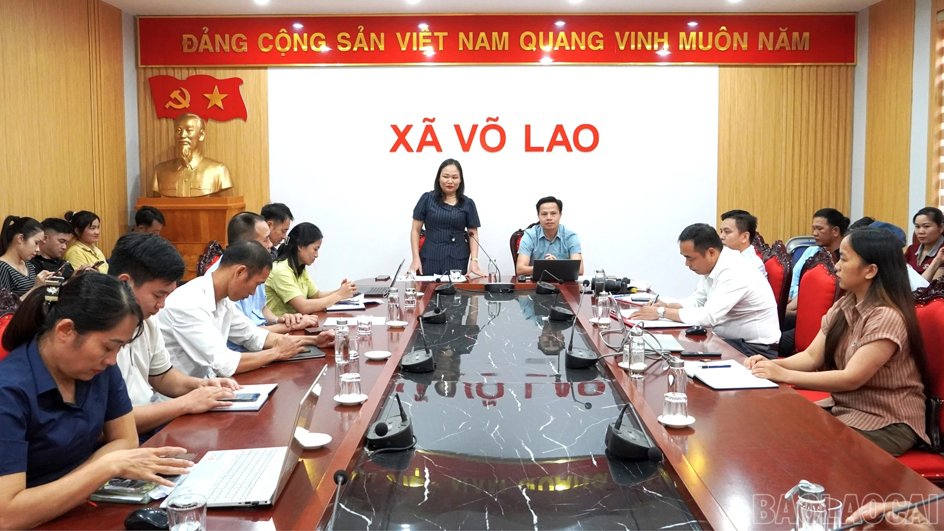 baolaocai-br_vl3.jpg
