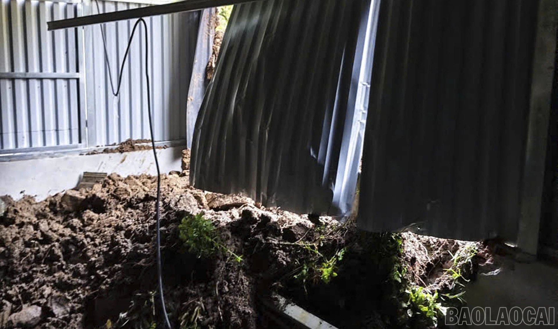 baolaocai-br_5.jpg