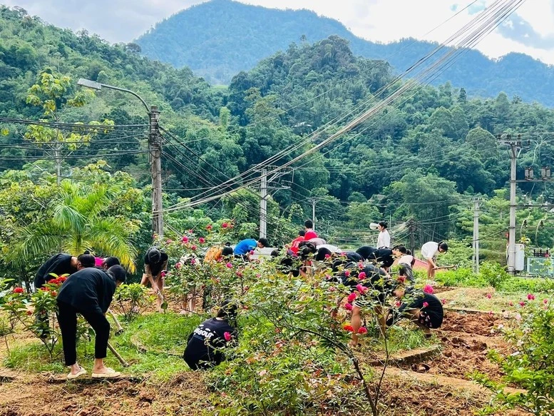 8-11-khoicong3.jpg