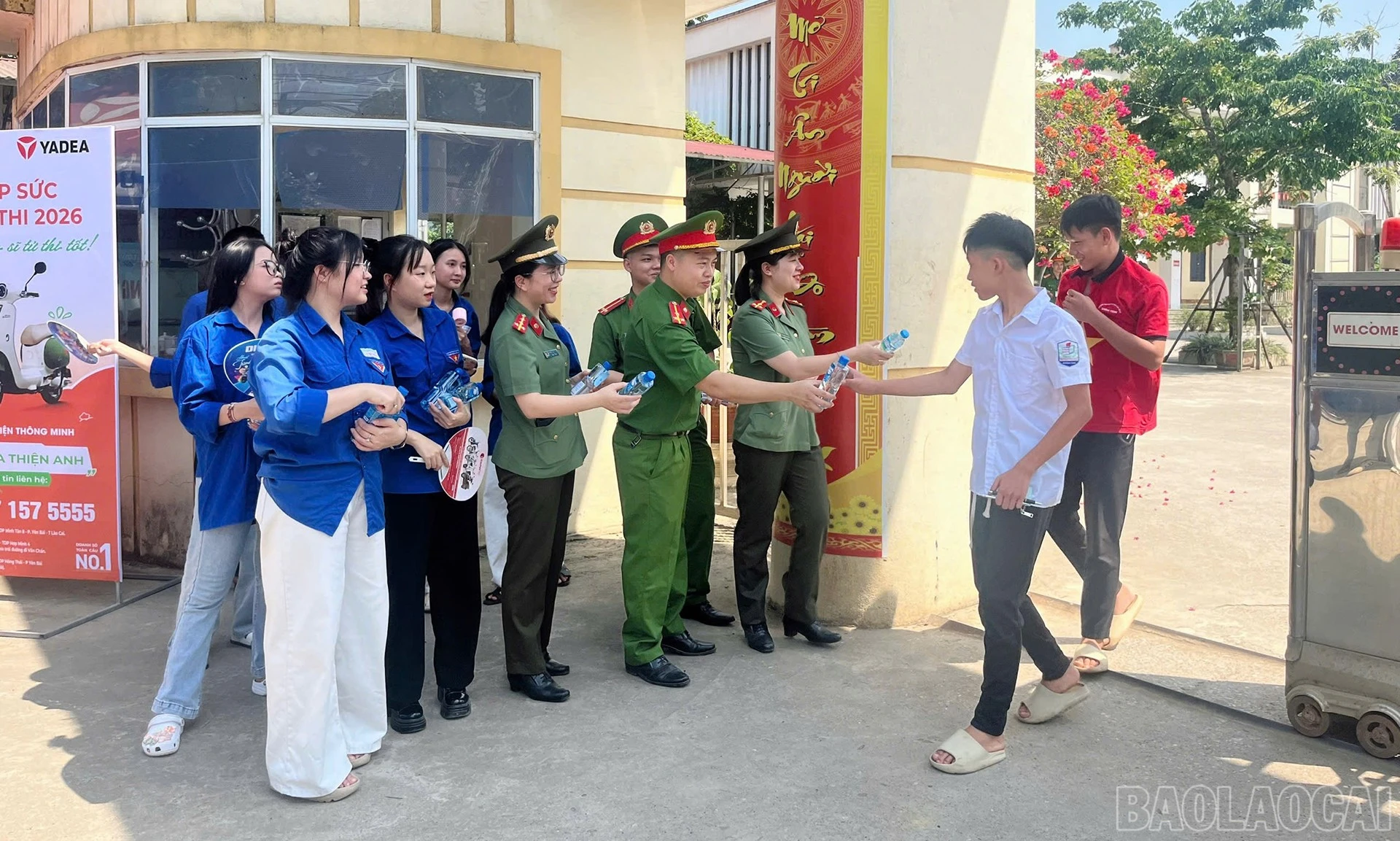 baolaocai-br_anh-7.jpg