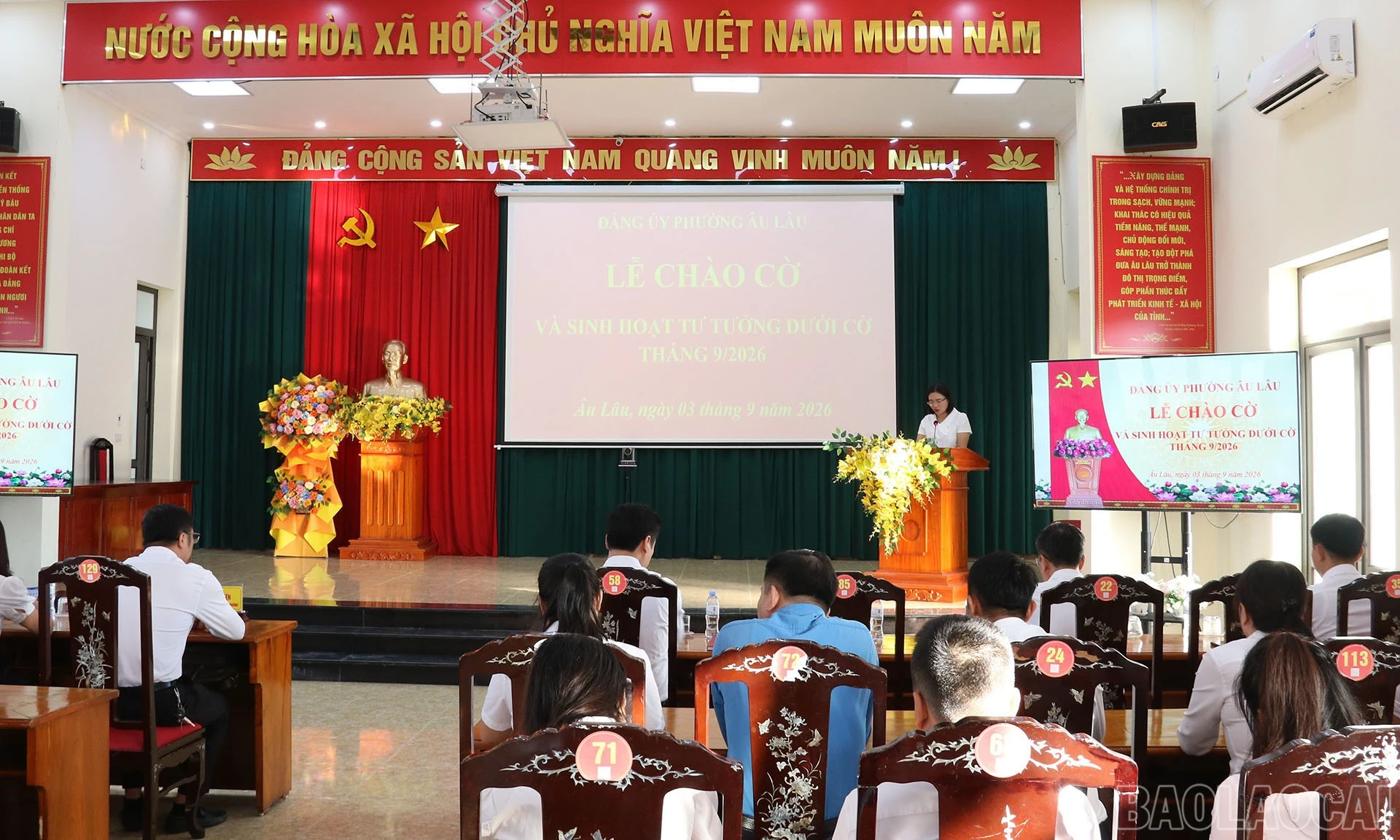 baolaocai-br_2-8347.jpg