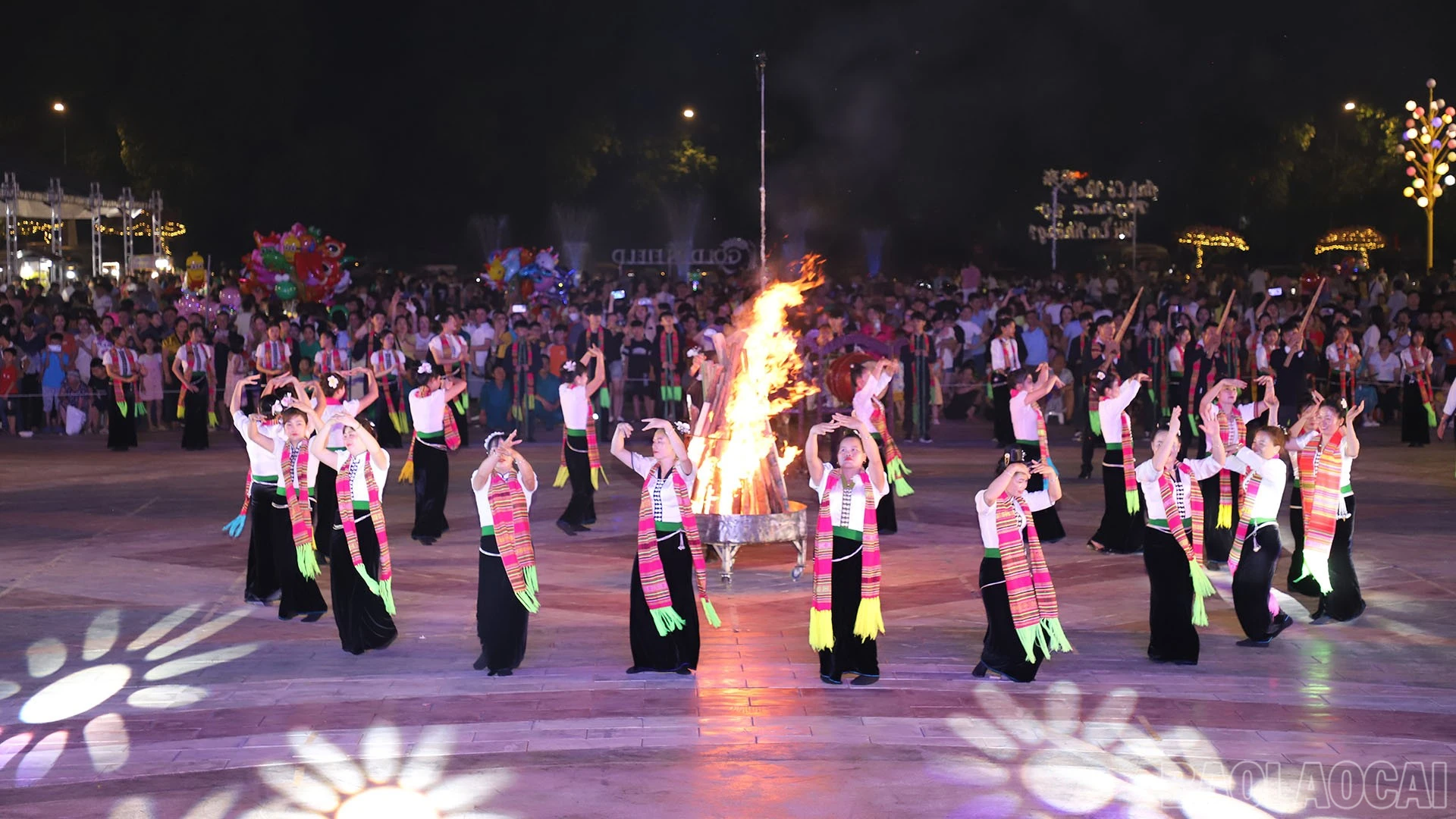 baolaocai-br_img-0038.jpg