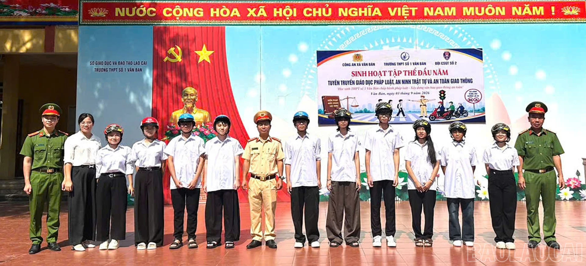 baolaocai-br_4-1.jpg