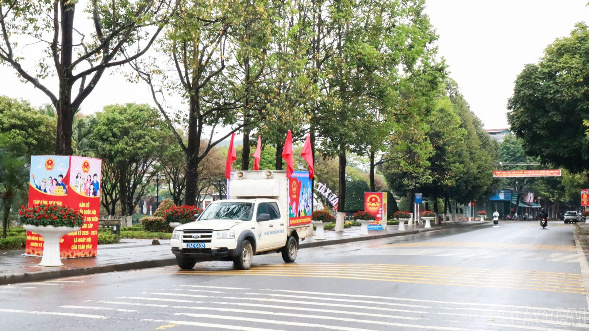 baolaocai-br_9-3-bat-xat1.jpg