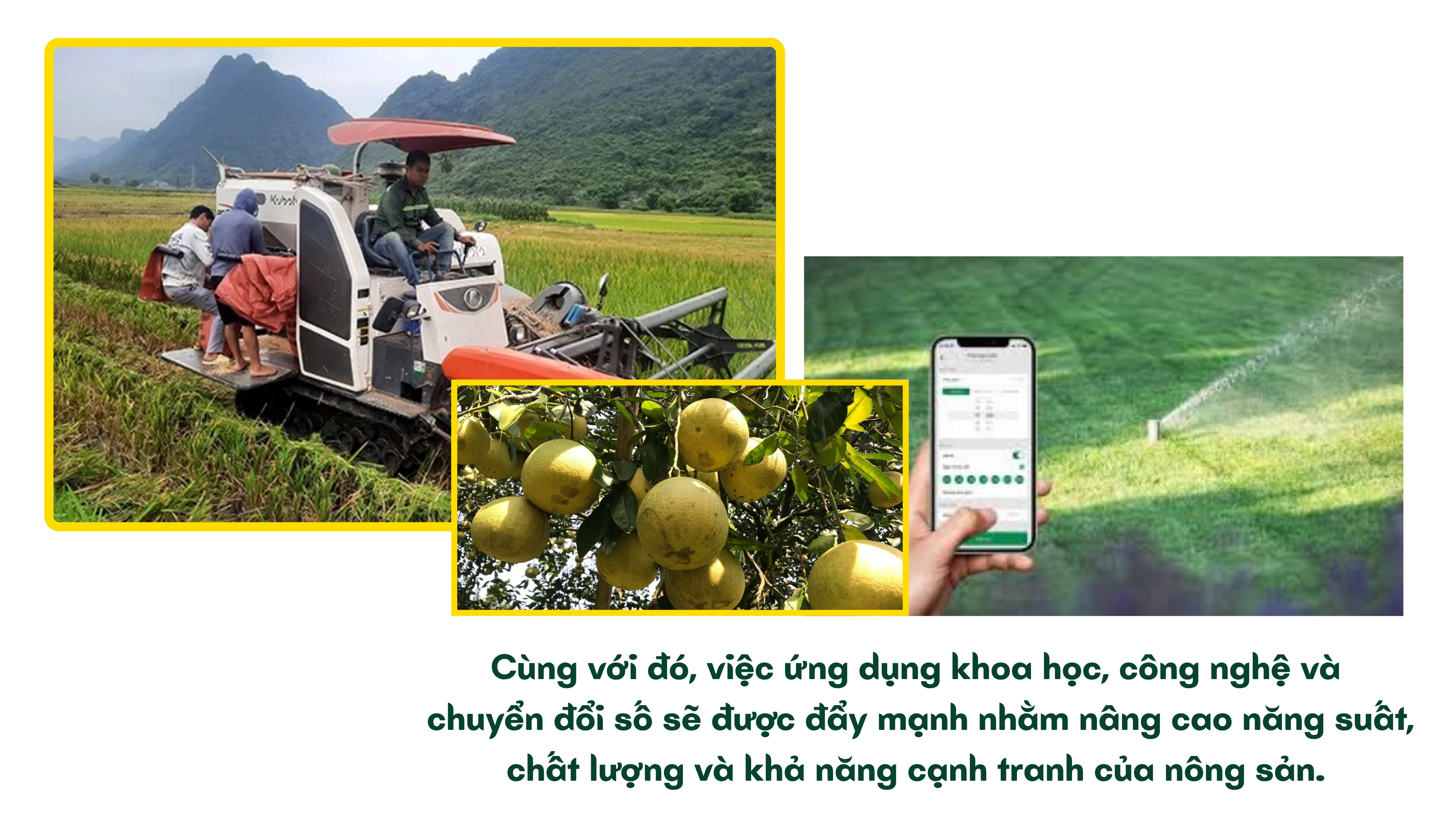 24-3-trang6.png