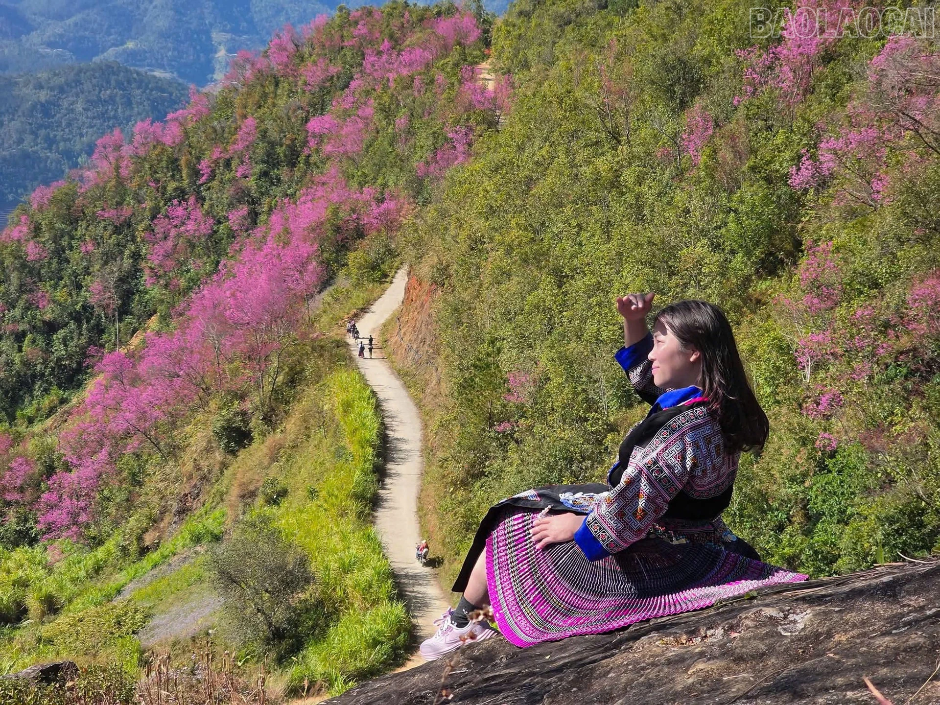 baolaocai-tr_to-day5.jpg