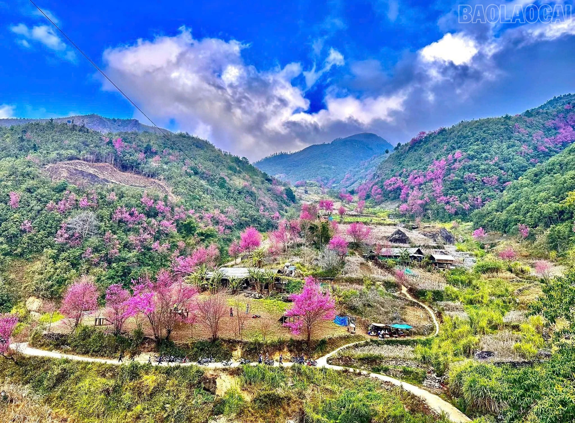 baolaocai-tr_to-day1.jpg