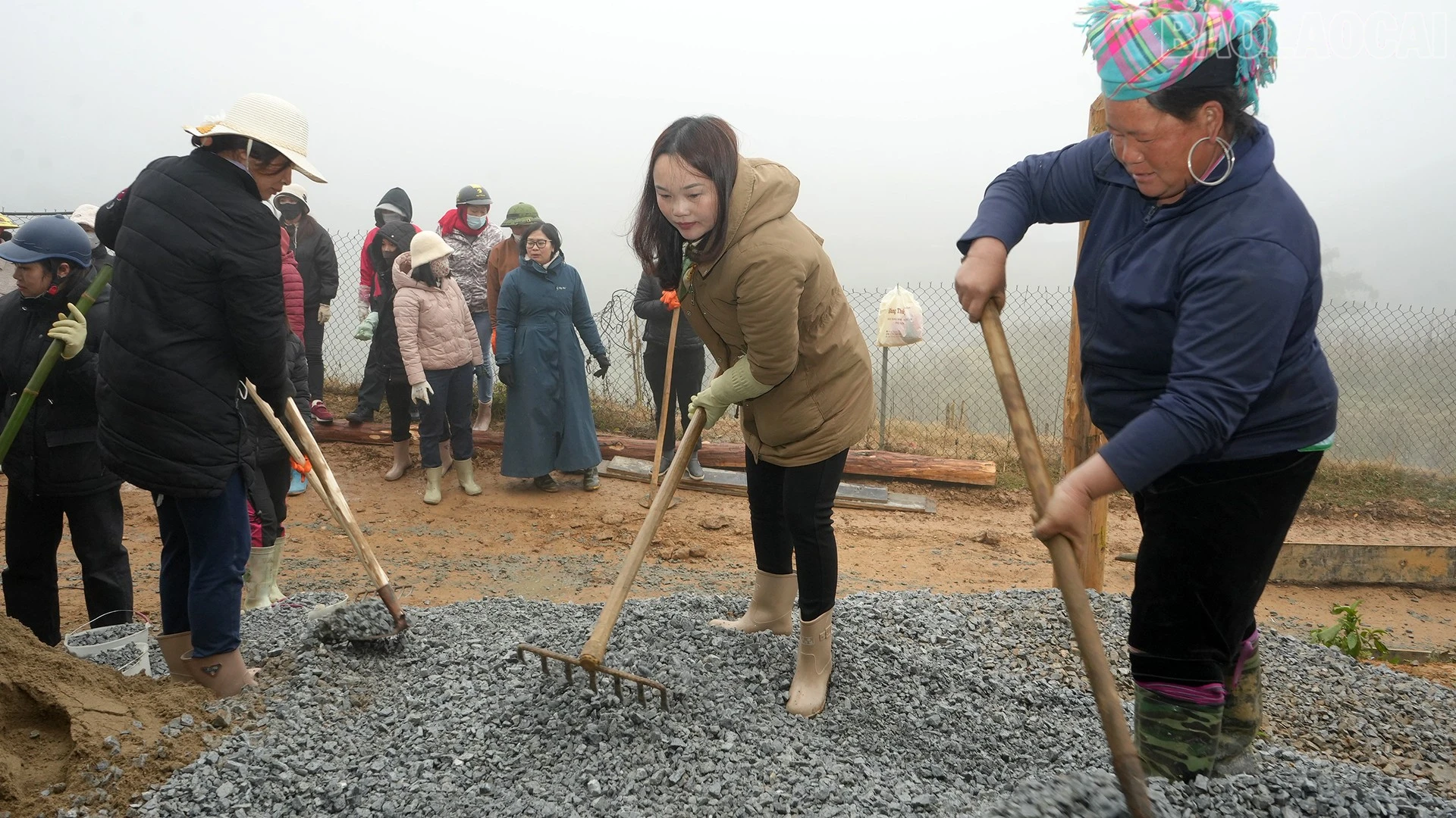 baolaocai-tr_dsc09972.jpg
