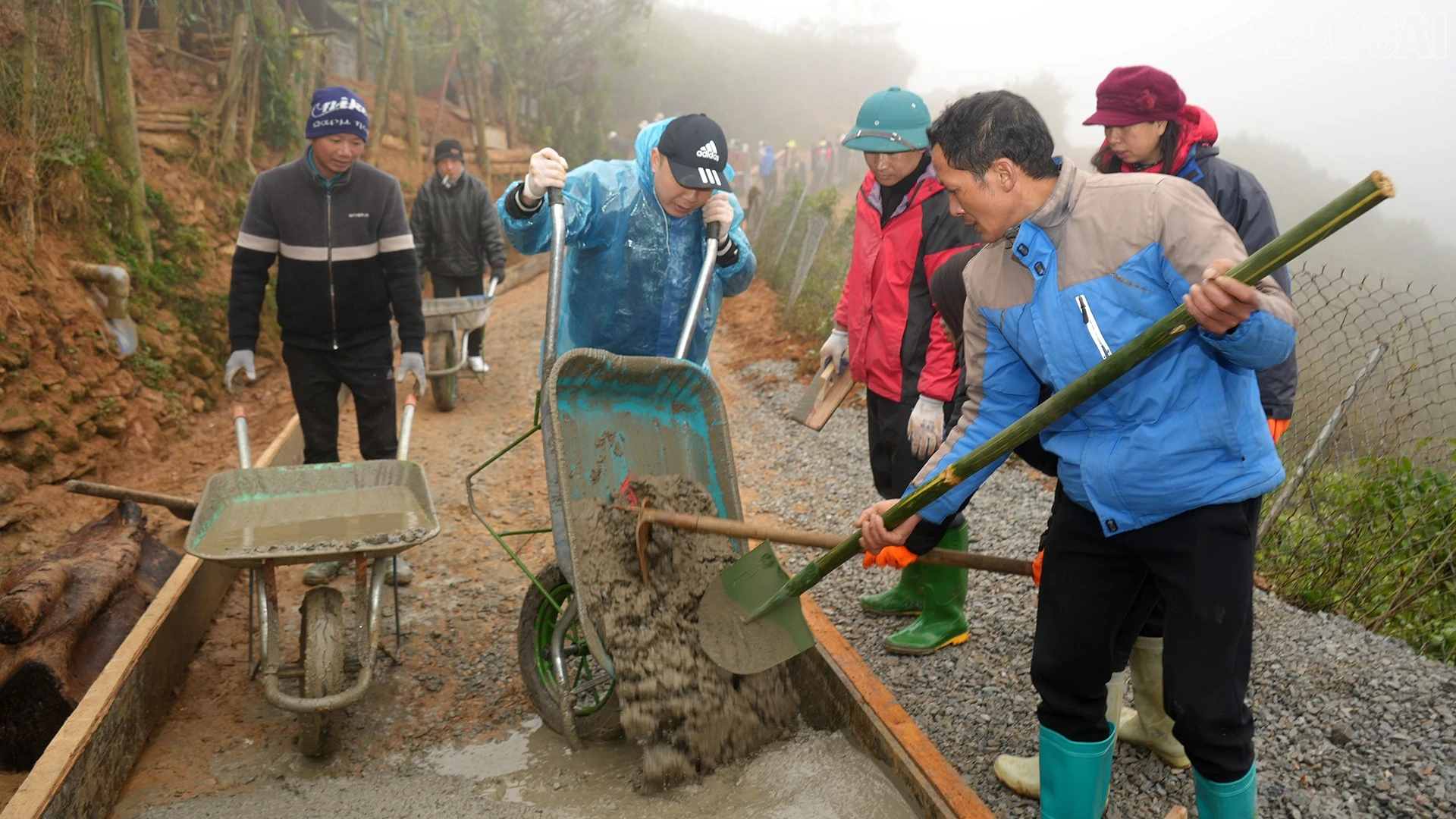 baolaocai-tr_dsc00021.jpg