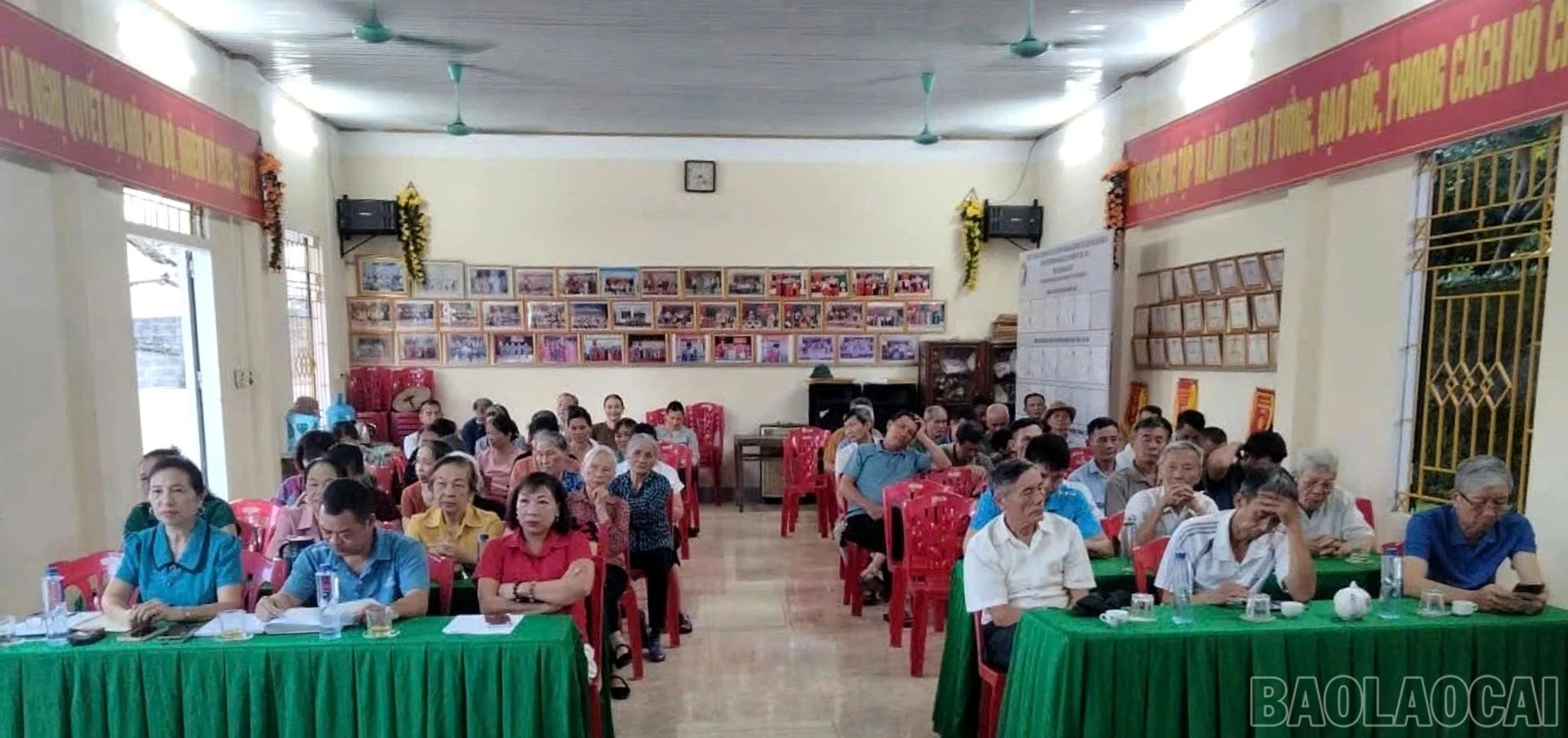 baolaocai-br_4444.jpg