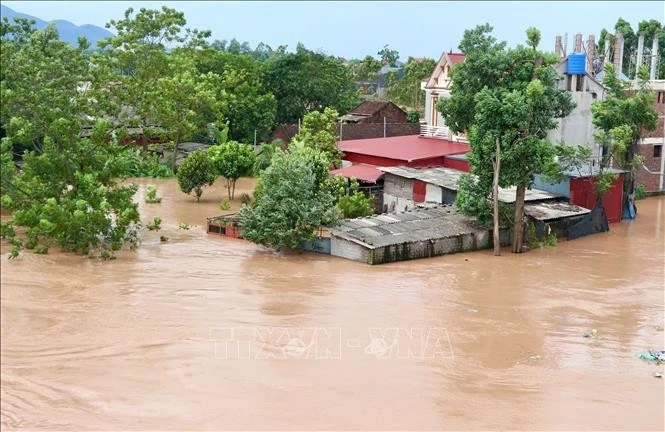 Mực nước sông Lục Nam (Bắc Ninh) tiếp tục ở mức cao, đạt 7,15 m, trên báo động III là 0,85 m. Ảnh: Thái Hùng/TTXVN