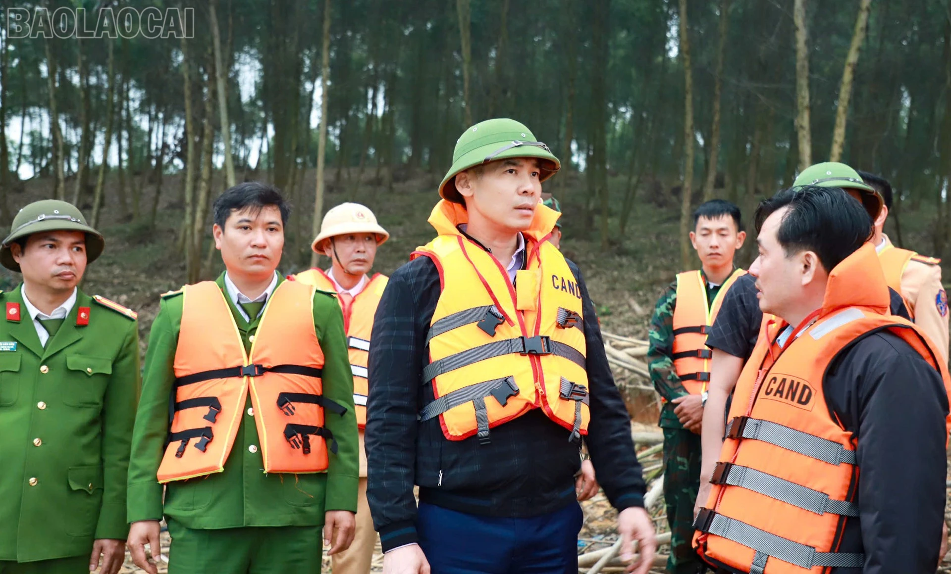 baolaocai-tl_anh-12.jpg