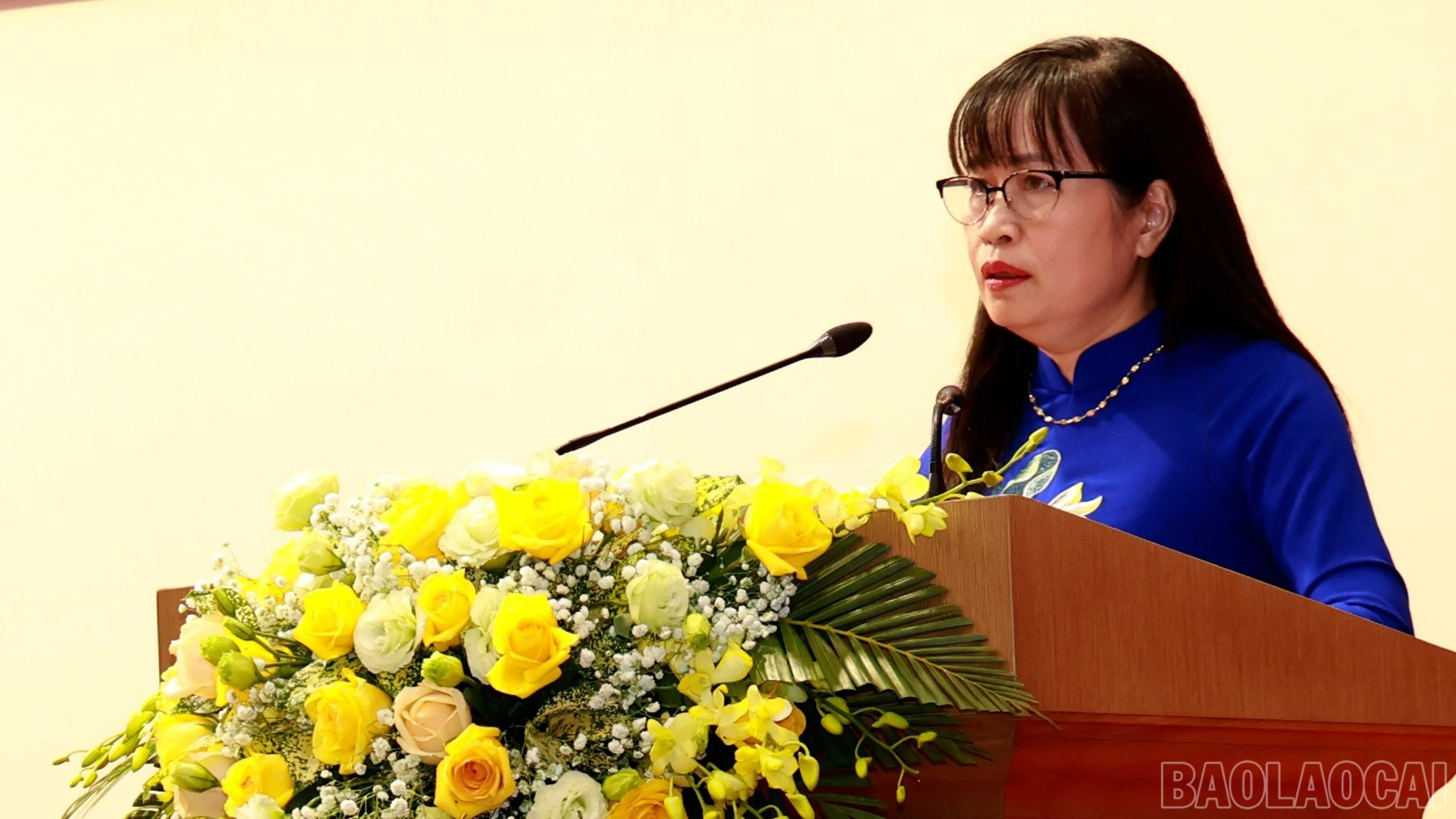 baolaocai-br_20-10-ba-ha.jpg