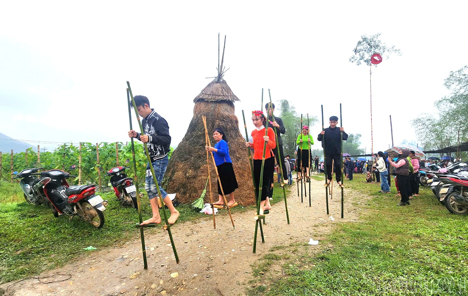 baolaocai-br_15-4-nghiado5.jpg