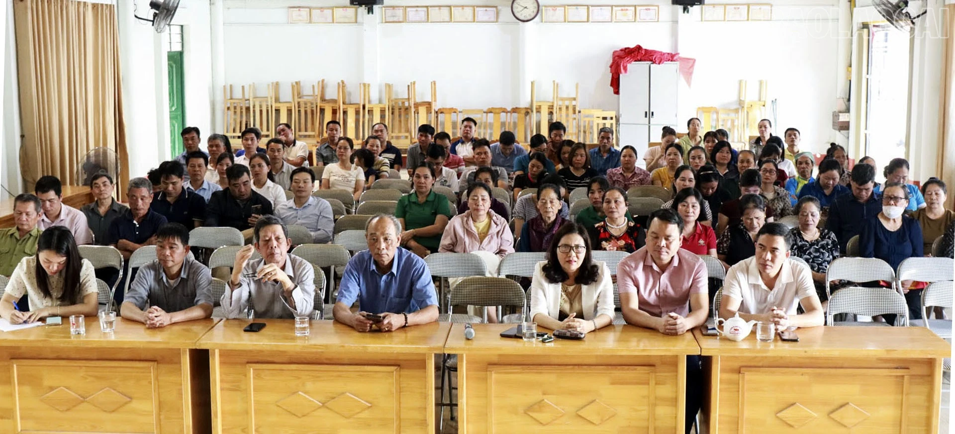 baolaocai-tr_2-2-80.jpg