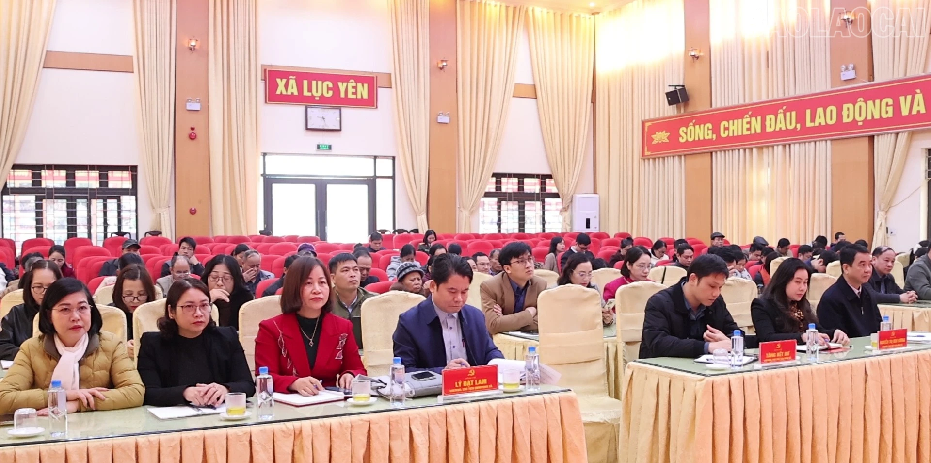 baolaocai-tr_cu-tri.jpg